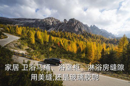 家居 衛(wèi)浴馬桶、浴室柜、淋浴房縫隙用美縫,還是玻璃膠呢