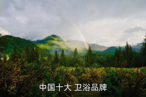 中國(guó)十大 衛(wèi)浴品牌