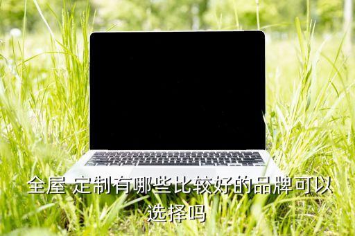  全屋 定制有哪些比較好的品牌可以選擇嗎