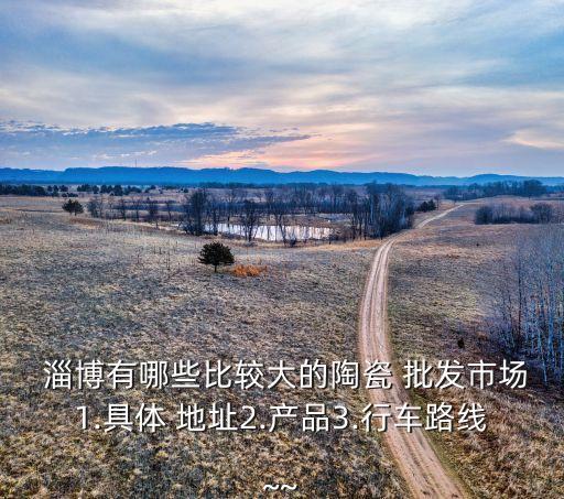 淄博毛巾衛(wèi)浴批發(fā)市場(chǎng)地址,淄博衛(wèi)浴批發(fā)市場(chǎng)在哪里