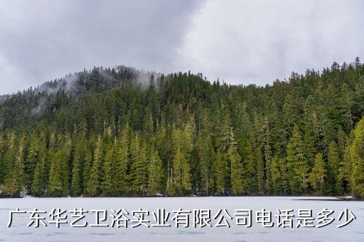 廣東華藝衛(wèi)浴實業(yè)有限公司電話是多少
