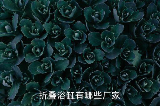 折疊浴缸有哪些廠家