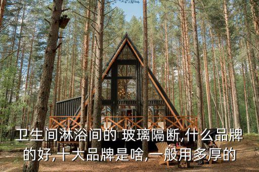 什么衛(wèi)浴玻璃品牌好又實惠