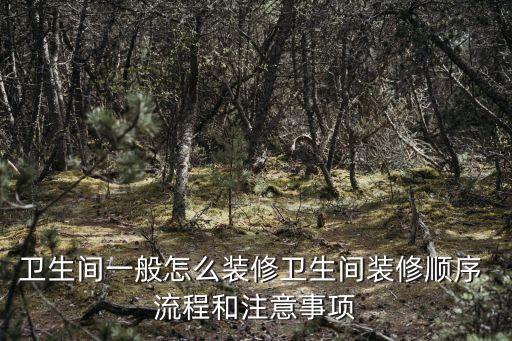 衛(wèi)生間一般怎么裝修衛(wèi)生間裝修順序 流程和注意事項