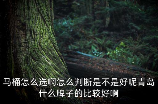 馬桶怎么選啊怎么判斷是不是好呢青島什么牌子的比較好啊