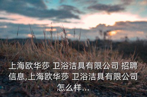 上海歐華莎 衛(wèi)浴潔具有限公司 招聘信息,上海歐華莎 衛(wèi)浴潔具有限公司怎么樣...