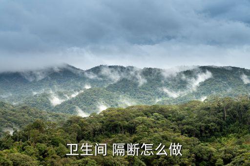 衛(wèi)浴隔斷砌墻尺寸圖片大全