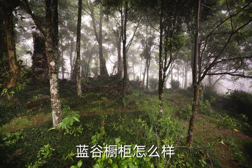 藍(lán)谷櫥柜怎么樣