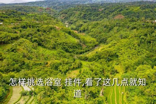 怎樣挑選浴室 掛件,看了這幾點(diǎn)就知道