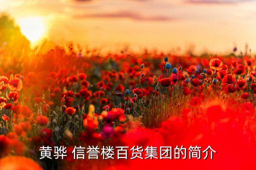黃驊 信譽(yù)樓百貨集團(tuán)的簡介