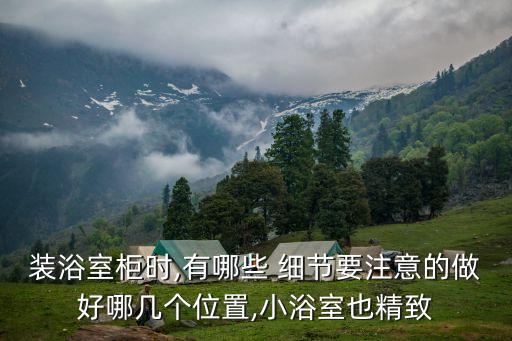 裝衛(wèi)浴的細(xì)節(jié)圖片真實(shí)