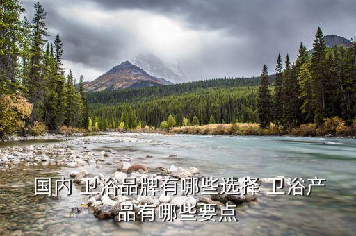  國內(nèi) 衛(wèi)浴品牌有哪些選擇 衛(wèi)浴產(chǎn)品有哪些要點