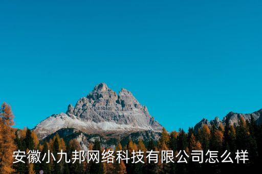 安徽小九邦網(wǎng)絡科技有限公司怎么樣