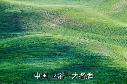 中國 衛(wèi)浴十大名牌