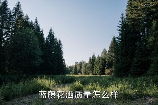 藍(lán)藤花灑質(zhì)量怎么樣