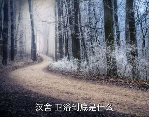 漢舍 衛(wèi)浴到底是什么