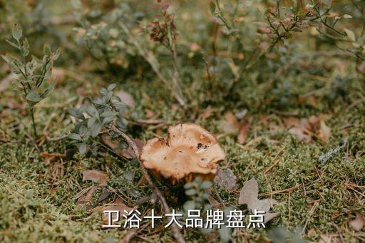 衛(wèi)浴品類商場有哪些品牌,商場哪些品類暢銷好賣