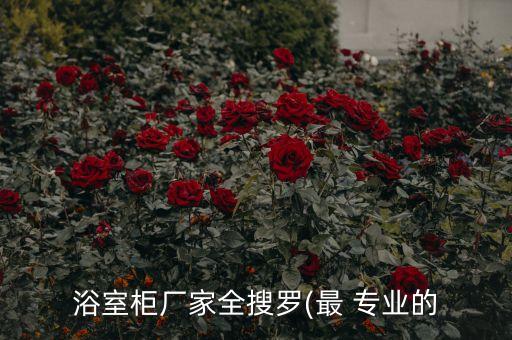 深圳衛(wèi)浴專業(yè)定制店地址,眾雅衛(wèi)浴專業(yè)定制