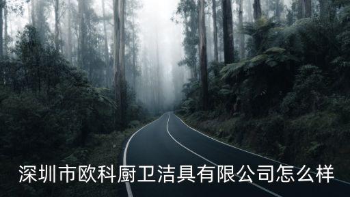  深圳市歐科廚衛(wèi)潔具有限公司怎么樣