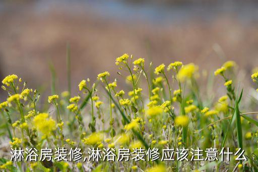 淋浴房裝修,淋浴房裝修應該注意什么