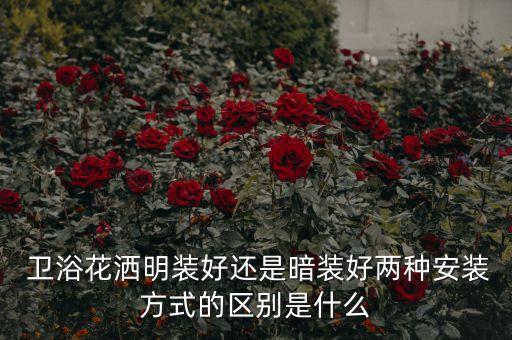  衛(wèi)浴花灑明裝好還是暗裝好兩種安裝方式的區(qū)別是什么