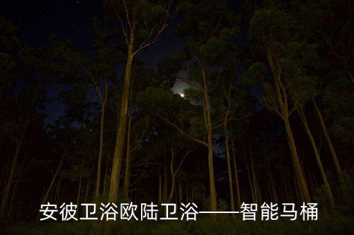  安彼衛(wèi)浴歐陸衛(wèi)浴——智能馬桶