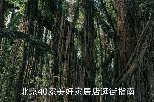  北京40家美好家居店逛街指南