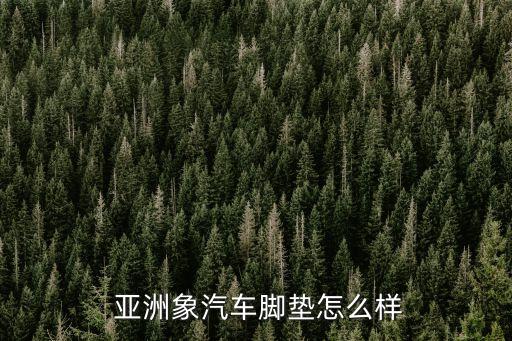 亞洲象汽車腳墊怎么樣