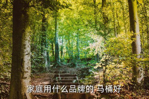 家庭用什么品牌的 馬桶好