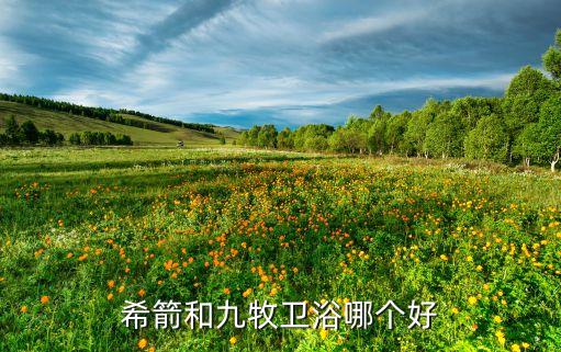 希劍衛(wèi)浴是什么檔次的品牌,TT衛(wèi)浴是什么檔次