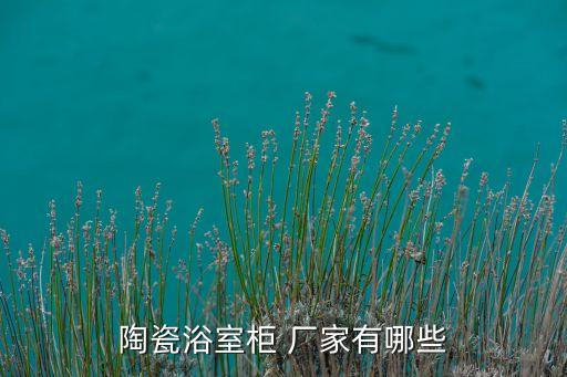 陶瓷浴室柜 廠家有哪些