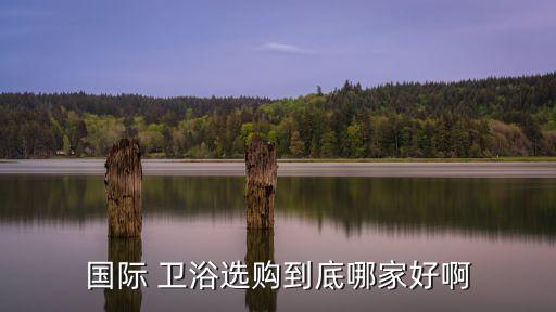 國際 衛(wèi)浴選購到底哪家好啊