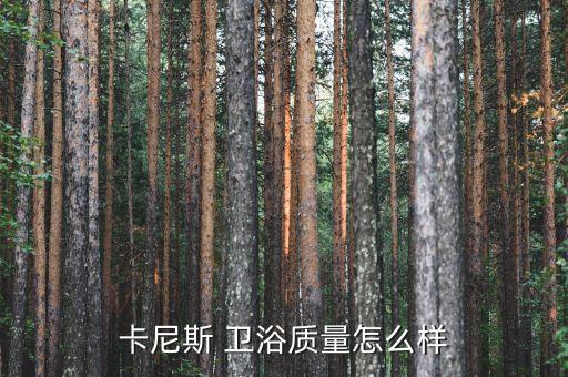 卡尼斯 衛(wèi)浴質(zhì)量怎么樣