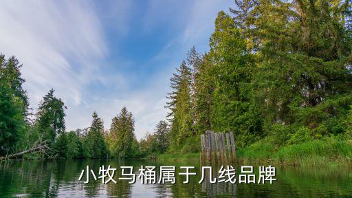  小牧馬桶屬于幾線品牌