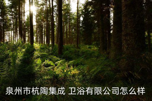 泉州市杭陶集成 衛(wèi)浴有限公司怎么樣