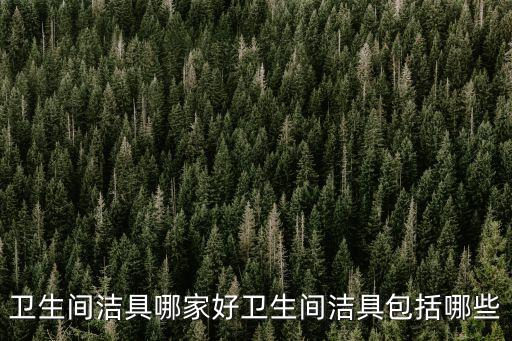 衛(wèi)生間潔具哪家好衛(wèi)生間潔具包括哪些