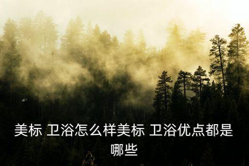 美標 衛(wèi)浴怎么樣美標 衛(wèi)浴優(yōu)點都是哪些