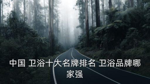 中國 衛(wèi)浴十大名牌排名 衛(wèi)浴品牌哪家強