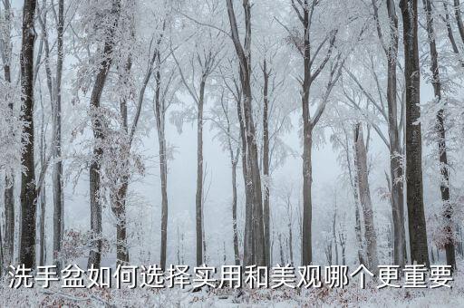 洗手盆如何選擇實(shí)用和美觀哪個更重要