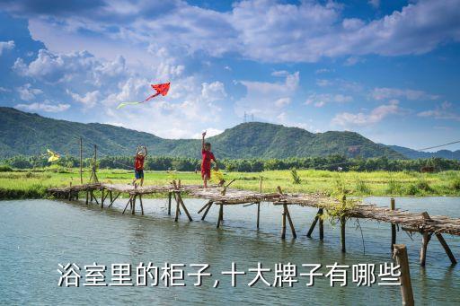 衛(wèi)浴柜品牌新款有哪些名字