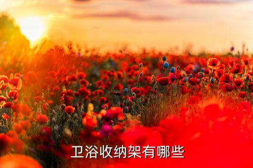  衛(wèi)浴收納架有哪些