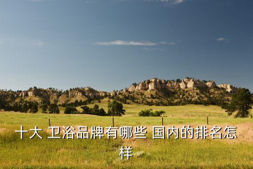 十大 衛(wèi)浴品牌有哪些 國內(nèi)的排名怎樣