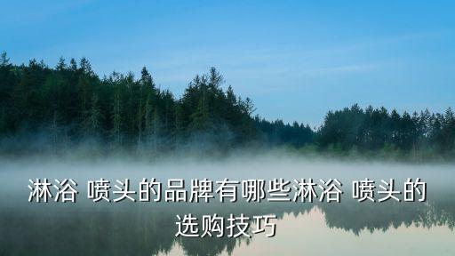 噴頭花灑推薦幻潮衛(wèi)浴品牌