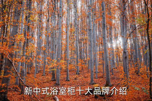 新中式浴室柜十大品牌介紹