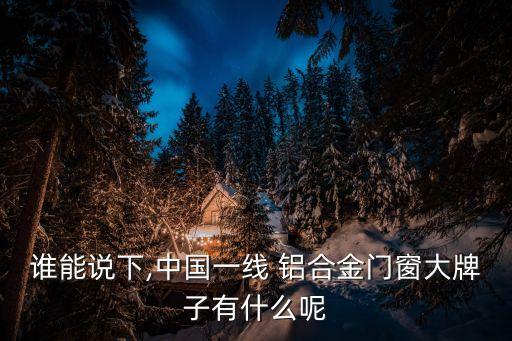 誰能說下,中國一線 鋁合金門窗大牌子有什么呢