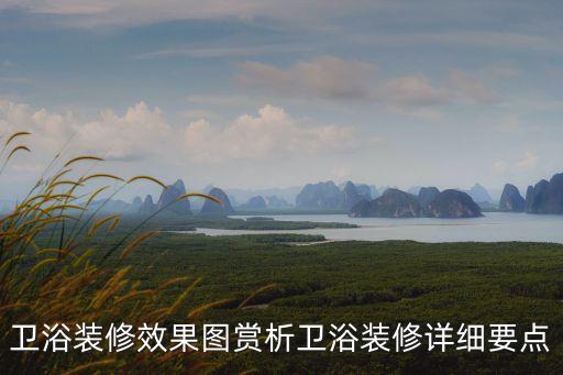 衛(wèi)浴裝修效果圖賞析衛(wèi)浴裝修詳細(xì)要點