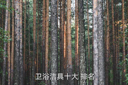  衛(wèi)浴潔具十大 排名