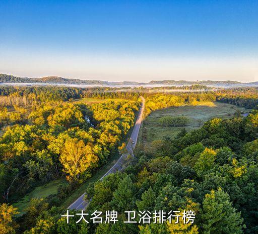 十大名牌 衛(wèi)浴排行榜