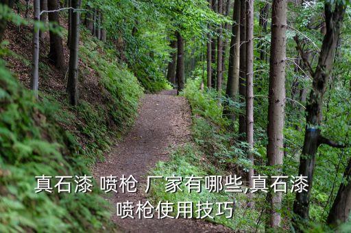 真石漆 噴槍 廠家有哪些,真石漆 噴槍使用技巧