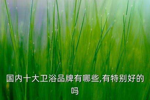 廣州羅浮宮衛(wèi)浴品牌,廣州衛(wèi)浴品牌前10名排名